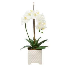 14" Artificial White Orchids and Bamboo in White Pot