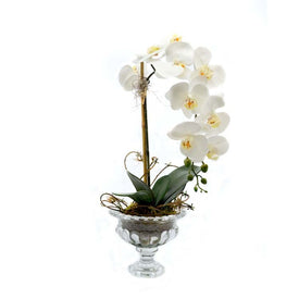 9" Artificial White Orchid and Bamboo in Glass Pedestal Vase