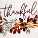 CAMZ11850 Dining & Entertaining/Table Linens/Placemats