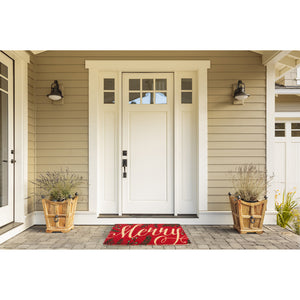 CAMZ10645 Holiday/Christmas/Christmas Outdoor Decor