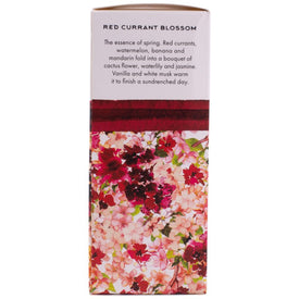 Via Mercato Primavera Petite Reed Diffuser - Red Currant Blossom
