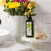 25101NO8 Bathroom/Bathroom Accessories/Soaps & Lotions