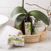 25101NO8 Bathroom/Bathroom Accessories/Soaps & Lotions