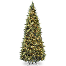 10' Carolina Pine Slim Wrapped Tree with Flocked Cones & Clear Lights - OPEN BOX