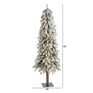 T1952 Holiday/Christmas/Christmas Trees