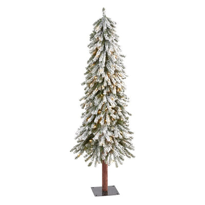 Product Image: T1952 Holiday/Christmas/Christmas Trees
