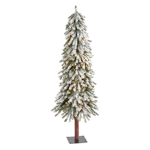 T1952 Holiday/Christmas/Christmas Trees