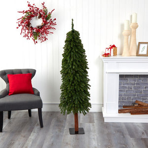 T2014 Holiday/Christmas/Christmas Trees