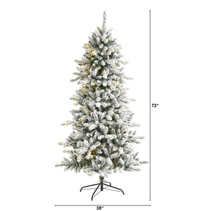 T1611 Holiday/Christmas/Christmas Trees