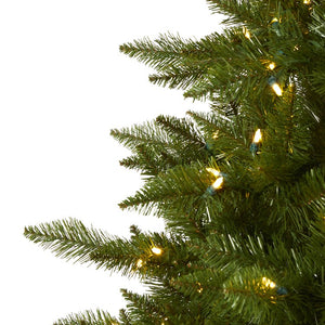T1456 Holiday/Christmas/Christmas Trees