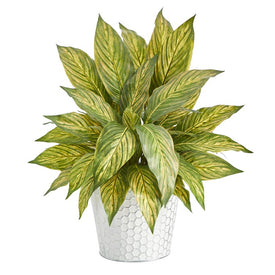 15" Musa Leaf Artificial Plant in Embossed White Planter