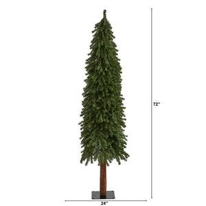 T2015 Holiday/Christmas/Christmas Trees