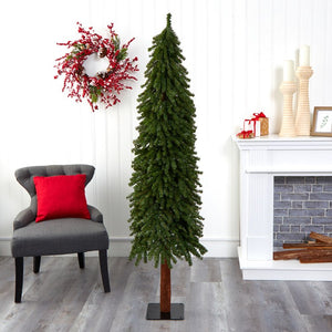 T2015 Holiday/Christmas/Christmas Trees