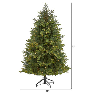 T1891 Holiday/Christmas/Christmas Trees