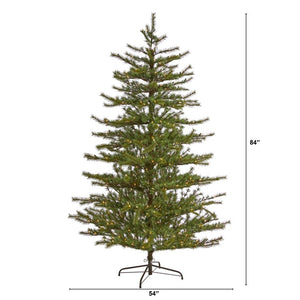 T1922 Holiday/Christmas/Christmas Trees