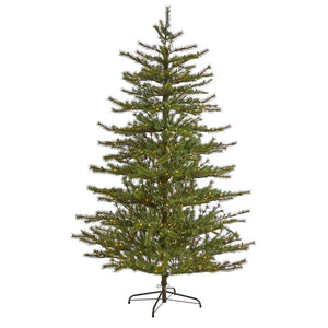 T1922 Holiday/Christmas/Christmas Trees