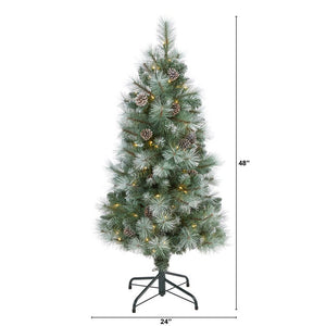 T1984 Holiday/Christmas/Christmas Trees