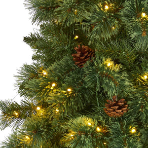 T1643 Holiday/Christmas/Christmas Trees
