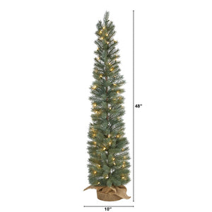 T1426 Holiday/Christmas/Christmas Trees