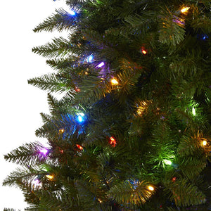 T1457 Holiday/Christmas/Christmas Trees