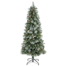 6' Frosted Tip British Columbia Mountain Pine Artificial Christmas Tree with 250 Clear Lights, Pine Cones and 588 Bendable Branches