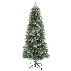 T1985 Holiday/Christmas/Christmas Trees