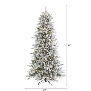 T1613 Holiday/Christmas/Christmas Trees