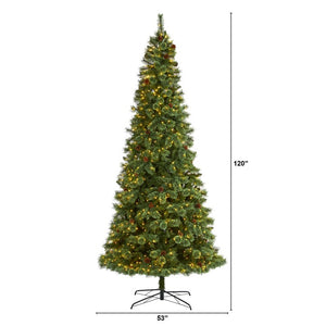 T1644 Holiday/Christmas/Christmas Trees