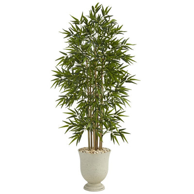 Product Image: T1303 Decor/Faux Florals/Plants & Trees
