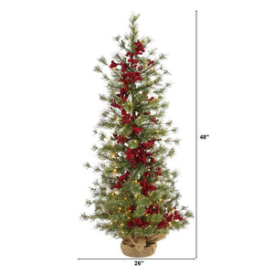 T1427 Holiday/Christmas/Christmas Trees