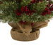T1427 Holiday/Christmas/Christmas Trees