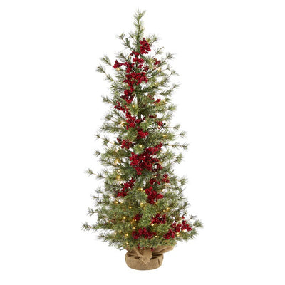 Product Image: T1427 Holiday/Christmas/Christmas Trees