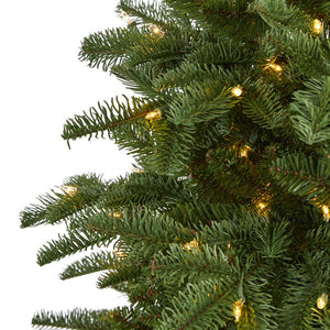 T1893 Holiday/Christmas/Christmas Trees
