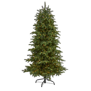 T1893 Holiday/Christmas/Christmas Trees