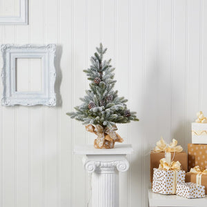 T1986 Holiday/Christmas/Christmas Trees