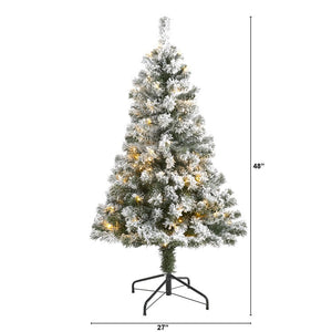 T1738 Holiday/Christmas/Christmas Trees