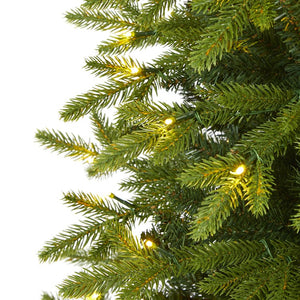 T1645 Holiday/Christmas/Christmas Trees