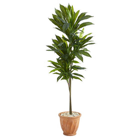 57" Dracaena Artificial Plant in Terra-Cotta Planter (Real Touch