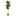 57" Dracaena Artificial Plant in Terra-Cotta Planter (Real Touch