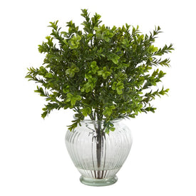 14" Boxwood Artificial Plant in Glass Planter (Indoor/Outdoor