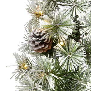 T1987 Holiday/Christmas/Christmas Trees