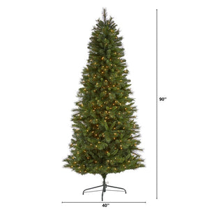 T1925 Holiday/Christmas/Christmas Trees