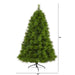 T1615 Holiday/Christmas/Christmas Trees