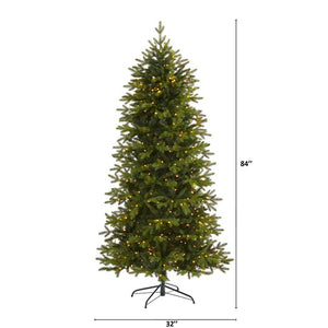T1646 Holiday/Christmas/Christmas Trees