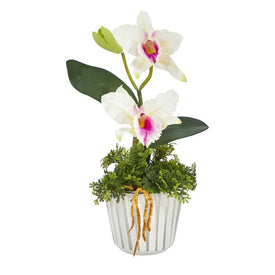 13" Mini Orchid Cattleya Artificial Arrangement in White Vase with Silver Trimming