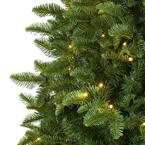 T1802 Holiday/Christmas/Christmas Trees