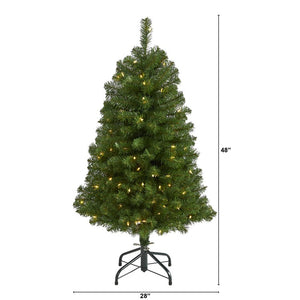 T1895 Holiday/Christmas/Christmas Trees