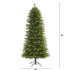 T1647 Holiday/Christmas/Christmas Trees