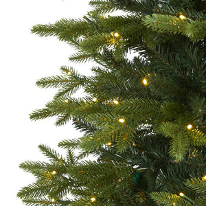T1647 Holiday/Christmas/Christmas Trees