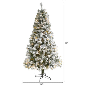 T1740 Holiday/Christmas/Christmas Trees